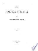 Sulla Balena etrusca