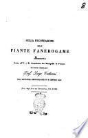 Sulla fecondazione delle piante fanero-game