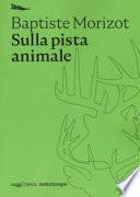 Sulla pista animale