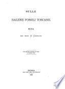 Sulle balene fossili toscane