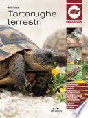 Tartarughe terrestri