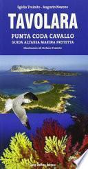 Tavolara Punta Coda Cavallo. Guida aerea