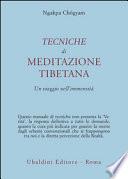 Tecniche di meditazione tibetana. Un viaggio nell'immensità