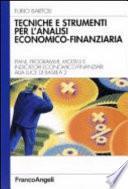 Tecniche e strumenti per l'analisi economico-finanziaria. Piani, programmi, modelli e indicatori economico-finanziari alla luce di Basilea 2