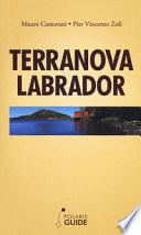 Terranova Labrador