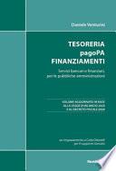 Tesoreria pagoPA finanziamenti. Servizi bancari e finanziari, per le pubbliche amministrazioni