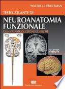Testo-atlante di neuroanatomia funzionale. Con considerazioni cliniche