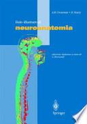 Testo illustrato di neuroanatomia
