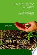 Testudo Hermanni in Umbria