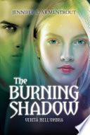 The Burning Shadow