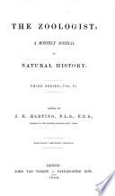 The zoologist