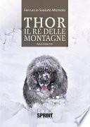 Thor il re delle montagne