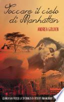 Toccare il cielo di Manhattan