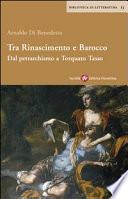 Tra Rinascimento e Barocco