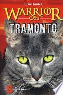 Tramonto. Warrior cats
