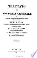 Trattato di anatomia generale o storia dei tessuti e della composizione chimica del corpo umano