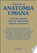Trattato di anatomia umana. Anatomia generale, apparato tegumentario, apparato locomotore