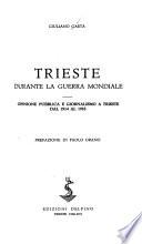 Trieste durante la guerra mondiale ; opinione pubblica e giornalismo a Trieste dal 1914 al 1918