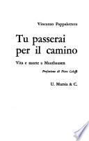 Tu passerai per il Camino