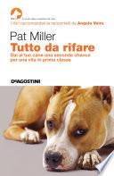 Tutto da rifare