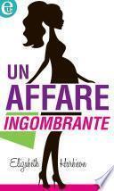 Un affare ingombrante (eLit)