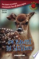 Un bambi da salvare. S.O.S. cuccioli