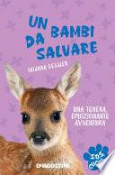 Un bambi da salvare. SoS Cuccioli