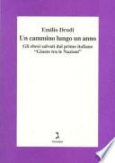 Un cammino lungo un anno