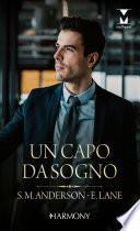 Un capo da sogno