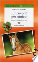 Un cavallo per amico