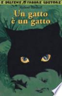 Un gatto è un gatto