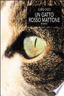 Un gatto rosso mattone
