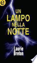 Un lampo nella notte (eLit)