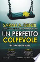 Un perfetto colpevole
