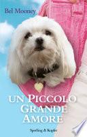 Un piccolo grande amore