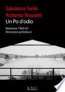 Un Po d'odio. Mantova 1960-61. Romanzo poliziesco