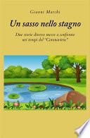 Un sasso nello stagno