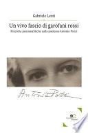 Un vivo fascio di garofani rossi