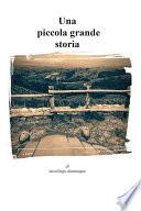 Una piccola grande storia