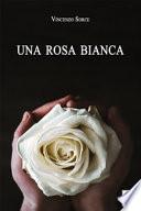 Una rosa bianca