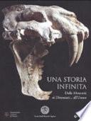 Una storia infinita. Dalle meteoriti ai dinosauri... all'uomo