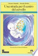 Una strada per il centro del cervello