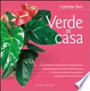 Verde in casa