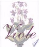 Viole