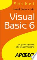 Visual Basic 6