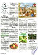 Vita in campagna