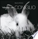 Voglio un coniglio