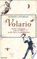 Volario