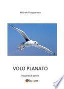 Volo planato. Raccolta di poesie