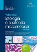 Wheater Istologia e anatomia microscopica
